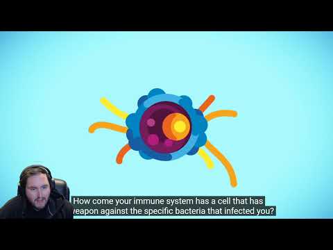 Reacting to How The Immune System ACTUALLY Works – IMMUNE