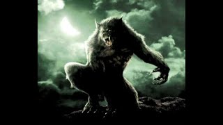 Krokus - Night Wolf