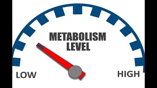 Physiology | Metabolism |  Last lecture  | April 25 | Dr.Nagi | Arabic