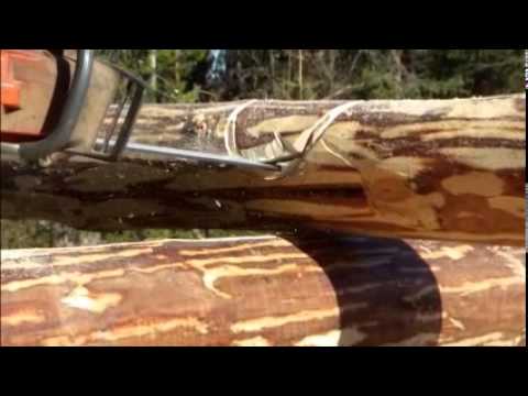 comment construire chalet en bois