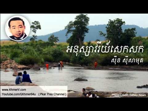 A Nu Savary Sek Sork by Samot