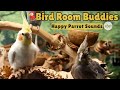 Bird Room Buddies Keep Your Parrot Happy With Bird Room Parrot Sounds Parrot Town TV For Birds ️