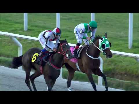 221202 c06 SEÑORA FEVER