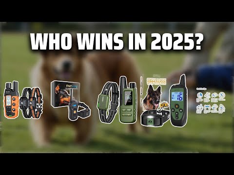 The Top 5 Best Shock Collar in 2025 - Must Watch Before Buying!