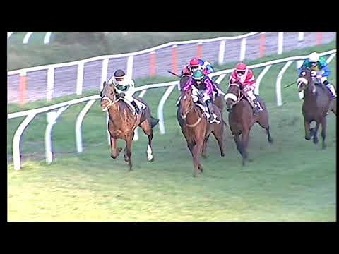 Galoppo 14/12/2020 - 6ª corsa