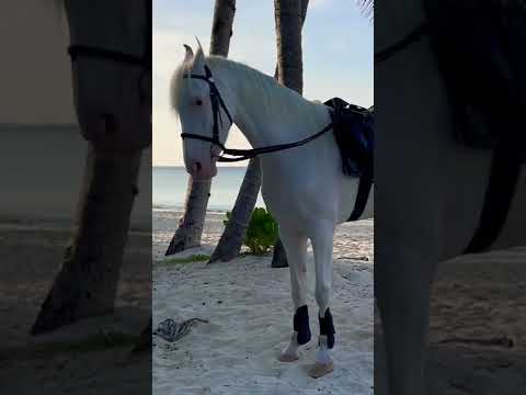 Siyam World Maldives