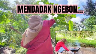PERDANA PETIK KACANG PANJANG DAN TERONG PIPIT…SANGRAI KOPI‼️