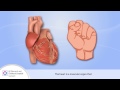 Get To Know The Normal Heart