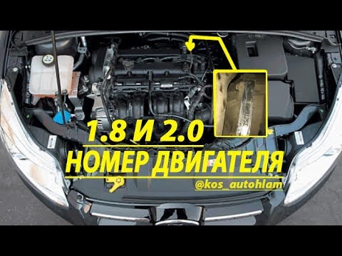 форд 2 литра номер двигателя. Смотреть фото форд 2 литра номер двигателя. Смотреть картинку форд 2 литра номер двигателя. Картинка про форд 2 литра номер двигателя. Фото форд 2 литра номер двигателя форд 2 литра номер двигателя. Смотреть фото форд 2 литра номер двигателя. Смотреть картинку форд 2 литра номер двигателя. Картинка про форд 2 литра номер двигателя. Фото форд 2 литра номер двигателя