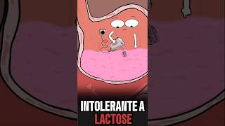 O PERIGO PARA QUEM É INTOLERANTE A LACTOSE