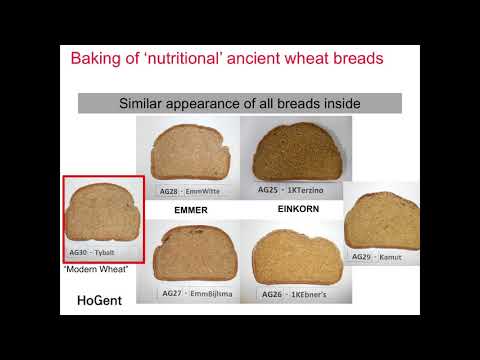 The Nutritional Value of Einkorn, Emmer, Khorasan & Modern Wheat  I  F. Van Boxstael at ICWL18