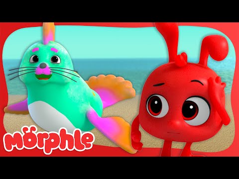 Watch Out For Loose Seal! 🦭 | Morphle's Family | My Magic Pet Morphle | Kids Cartoons