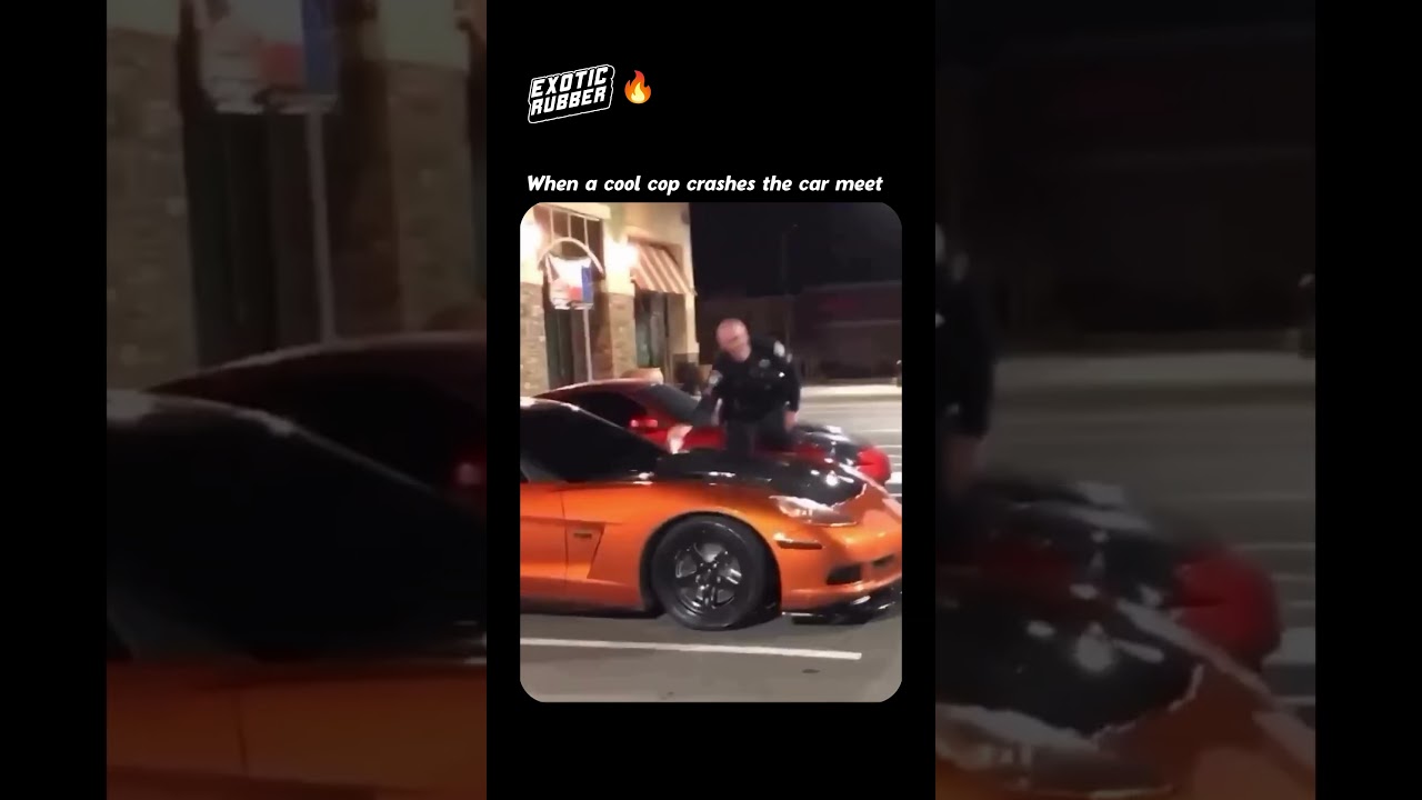 When a cool cop raids the car meet