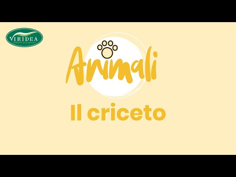 Idea come parassita Il libro di un lebedev striscia