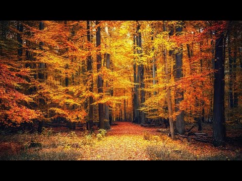 Speranta si Prietenii - Cautati pe Domnul cata vreme se poate gasi