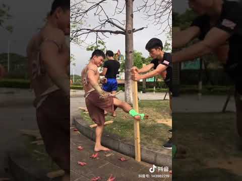 貪欲とうまく戦う 植物