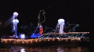 preview picture of video '2014 Dana Shores Holiday Boat Parade in Tampa, FL'
