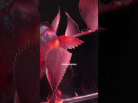 DYLAN FUENTES FT CAZZU TU VERDAD