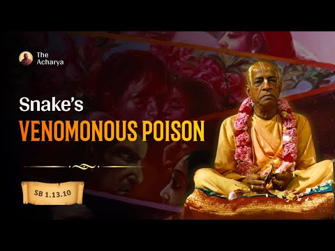 Snake's Venomonous Poison | SB 1.13.10 | Geneva | Srila Prabhupada