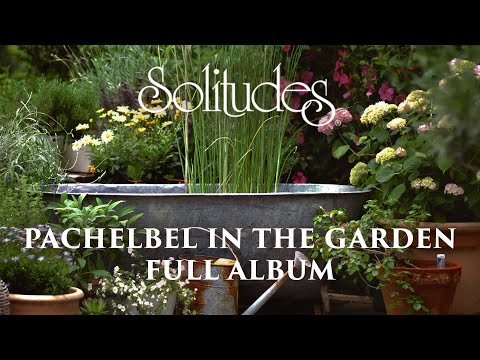 1 hour of Relaxing Music: Dan Gibson’s Solitudes - Pachelbel in the Garden (Full Album)