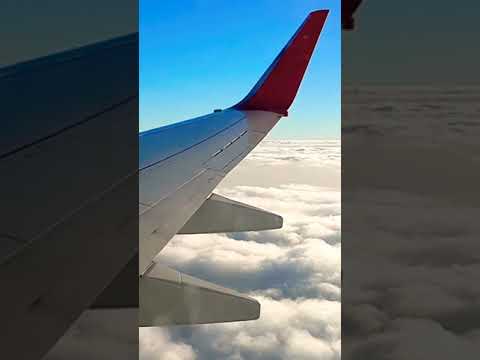 Airplane Sky View | Amazing Sky View From Plane | Beautiful Sky Nature Scenes #Shorts