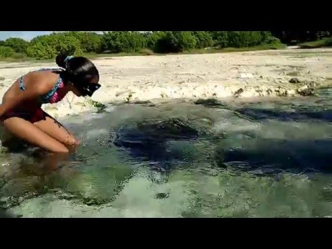 the source of a Cenote