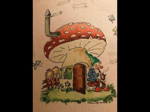 Hubert Deuringer, Akkordeon & seine Solisten, Die Isarspatzen, Unter einem Fliegenpilz, Foxtrot,1953