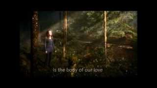 Feist - Fire In The Water Lyrics (Breaking Dawn Part II Soundtrack)