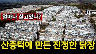 제주특별자치도 서귀포시 솔오름로 심각한 제주도, 결국 터질게 다터진다 | 몇년전부터 경고했는데.. 한라산 중국인 마을 영상 썸네일