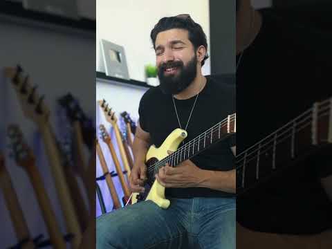 House Of The Rising Sun ┃Guitar Solo