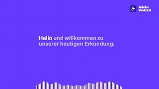 Diknu Schneeberger: Vom Wiener Wunderkind zum Gypsy-Jazz-Visionär zwischen Tradition, Alpin Swing ..