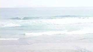 Graphic video of Tijuana pollution