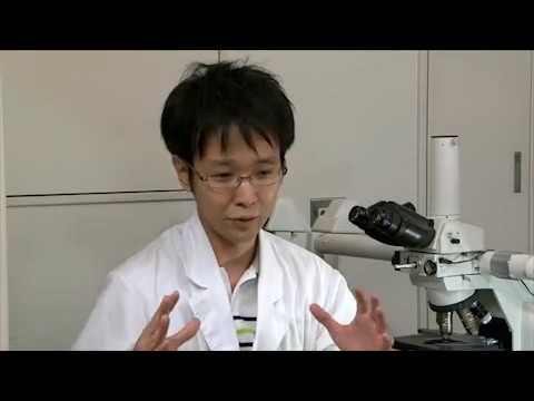 麻布大学 研究室紹介03_代田 欣二 教授