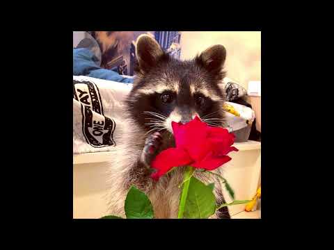 [FREE FOR PROFIT] Glaive x Ericdoa Pop Type Beat - "disappear"