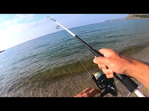 Havbars og fjæsing på Korsika