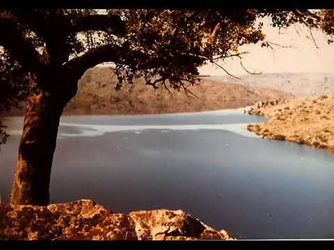 Río Tajo - Jesús Montero