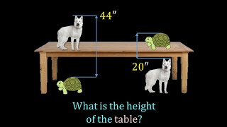 Download the video "Height of Table? Finding Unknown | Algebraic Equations In Three Variables"