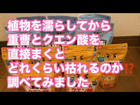 植物に重曹を使用するにはどうすればよいですか?どのような用量と頻度を守る必要がありますか?  庭園