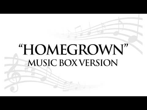 "HOMEGROWN" BY ZAC BROWN BAND - MUSIC BOX TRIBUTE