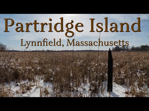 Partridge Island Trail, Lynnfield, MA.-{Winter Tour}