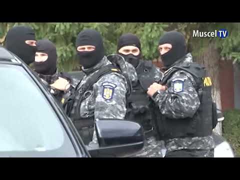 Jurnal MUSCEL TV 24.05.2023 Percheziţii pentru evaziune fiscală cu maşini second hand