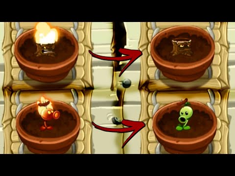 Fire Plants Zen Garden Animation - Plants Vs Zombies 2