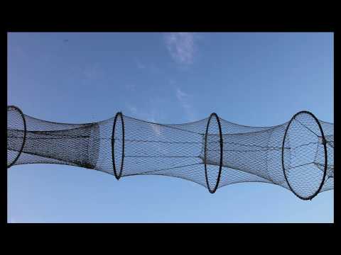 Opwekking 477 Jezus, wij vieren dat U overwon