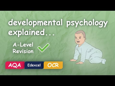 What is Developmental Psychology? #Alevel #Revision (Themes in Psychology Explained)