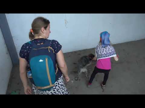 Dokument Danku chytil SBSkar, urbex Dubnica 2 bunkre a chladiace veze