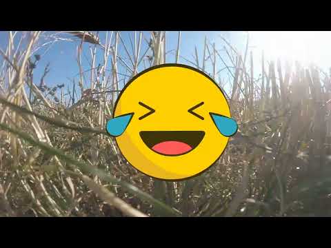 TBS Caipirinha 2 failure to launch