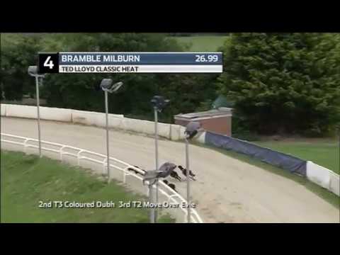 2019 TED LLOYD CLASSIC - HEAT 5 - T4 BRAMBLE MILBURN