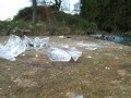 Airsoft