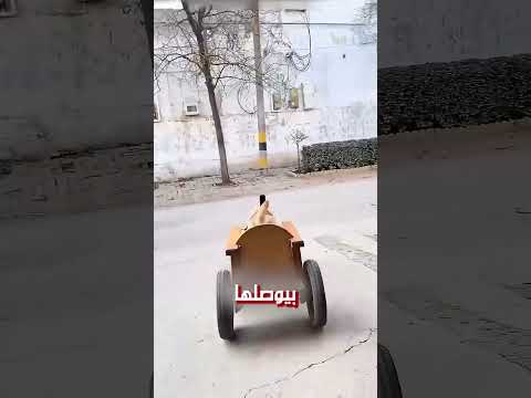 اوفى كلب في العالم!