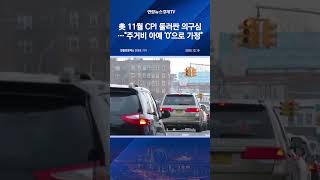 뭔가 이상한 美 11월 CPI…"주거비 아예 '0'으로 가정"